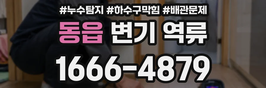 동읍 변기 역류