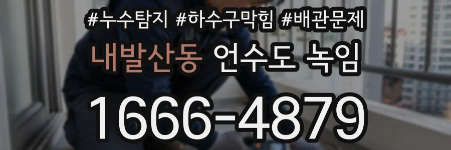 내발산동 언수도 녹임