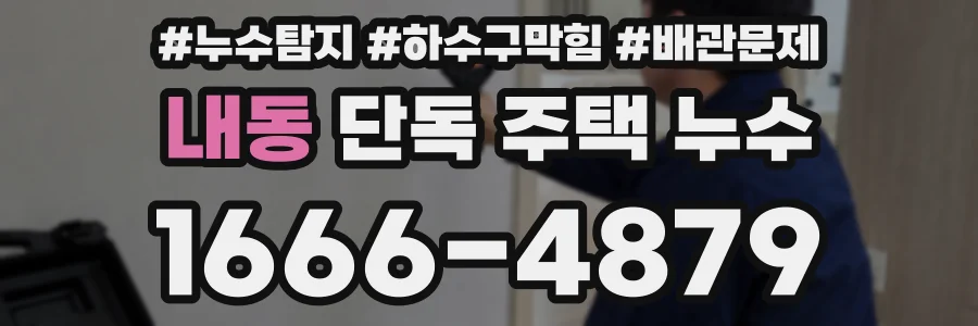 내동 단독 주택 누수