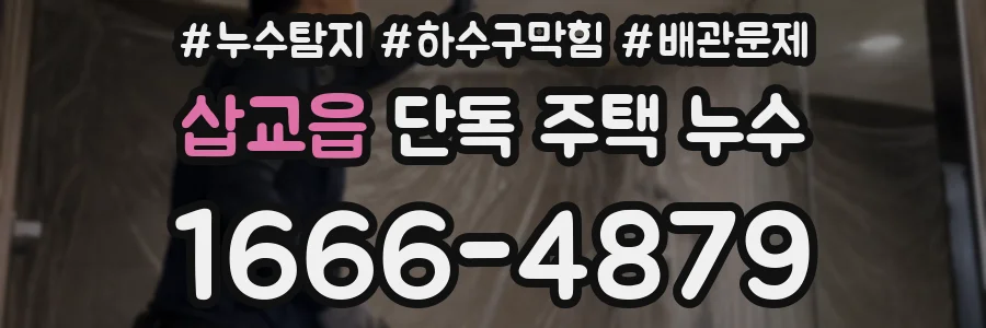 삽교읍 단독 주택 누수