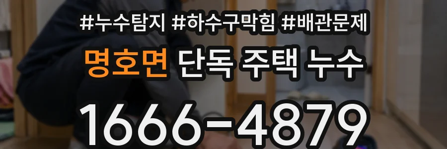 명호면 단독 주택 누수
