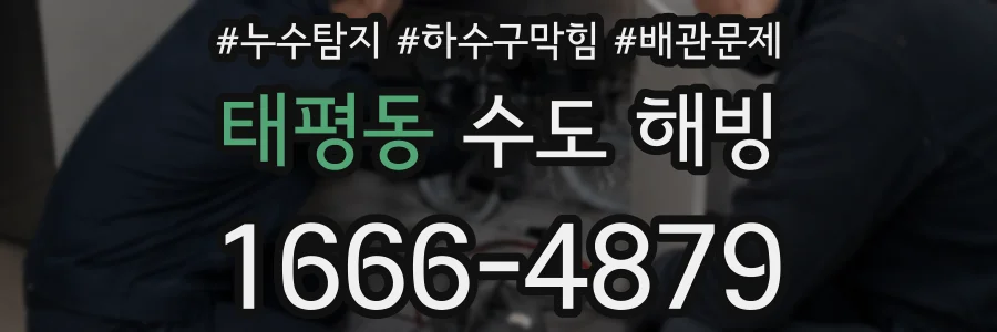 태평동 수도 해빙