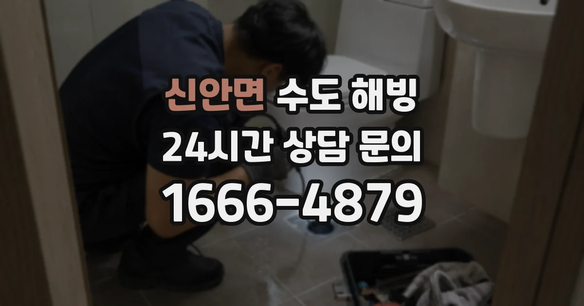 신안면 수도 해빙