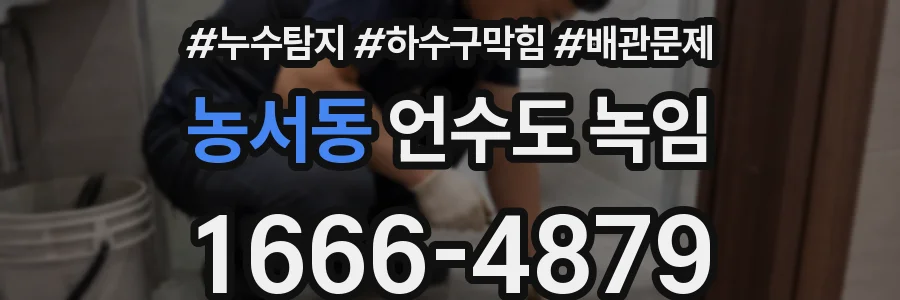 농서동 언수도 녹임