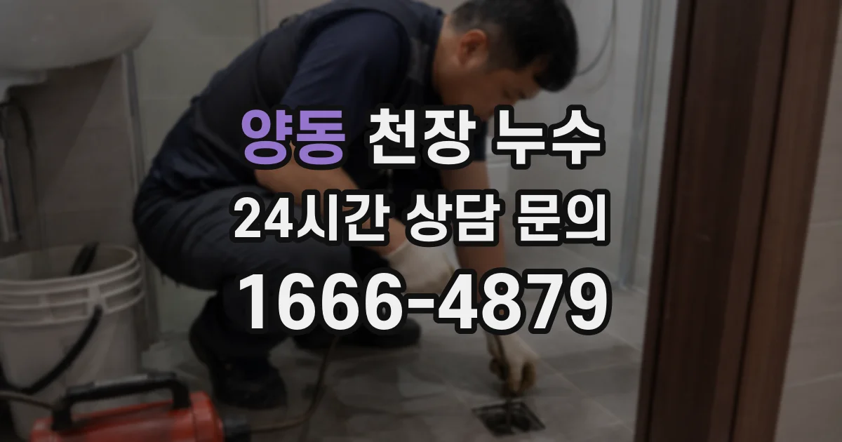 양동 천장 누수