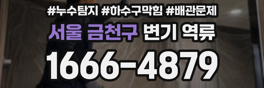 서울 금천구 변기 역류