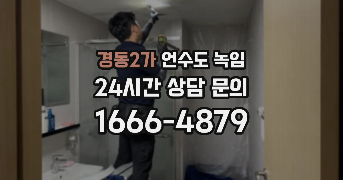 경동2가 언수도 녹임