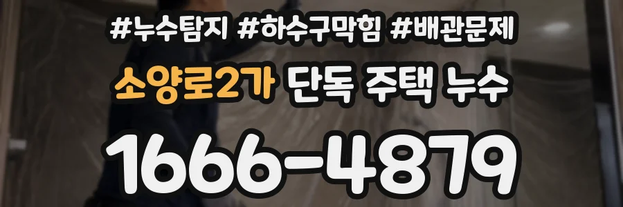 소양로2가 단독 주택 누수