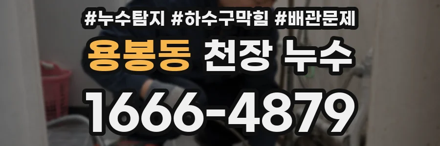 용봉동 천장 누수