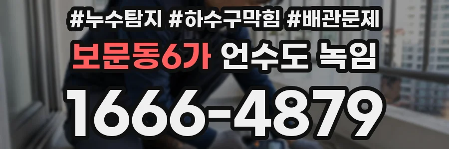 보문동6가 언수도 녹임