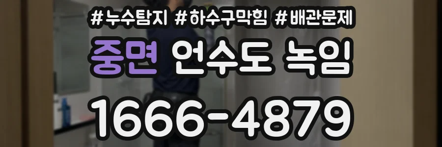 중면 언수도 녹임