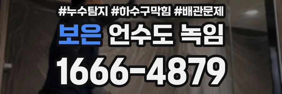 보은 언수도 녹임
