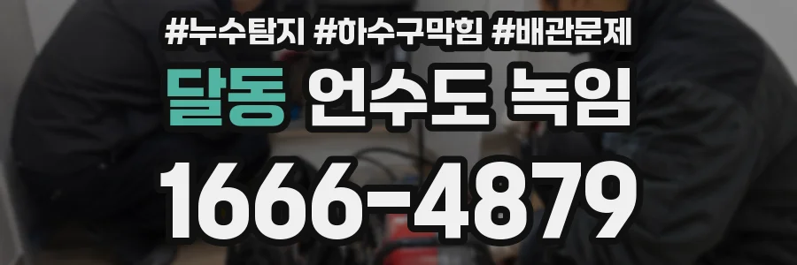 달동 언수도 녹임