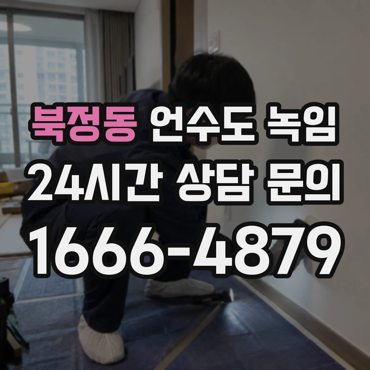 북정동 언수도 녹임