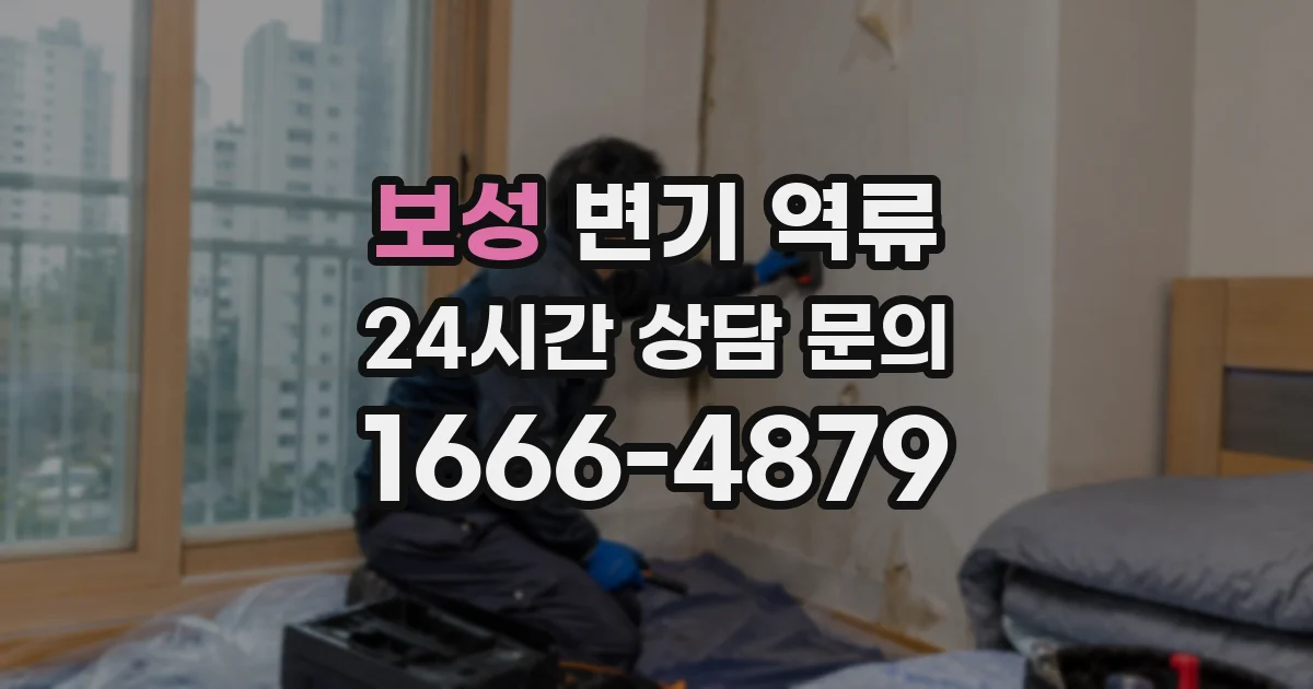 보성 변기 역류