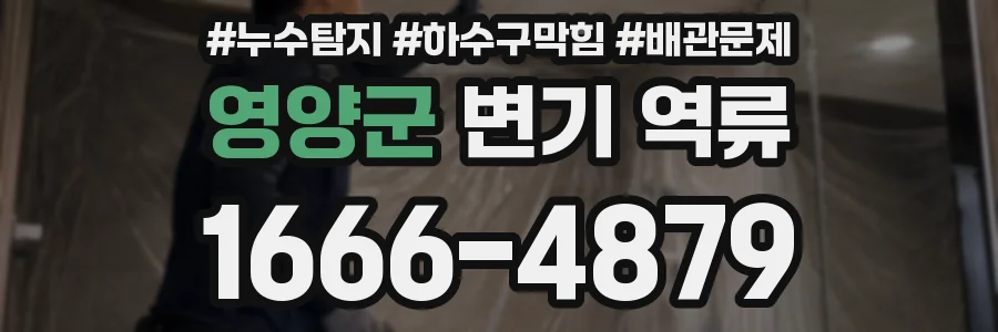 영양군 변기 역류