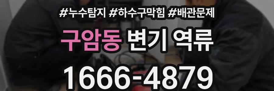 구암동 변기 역류