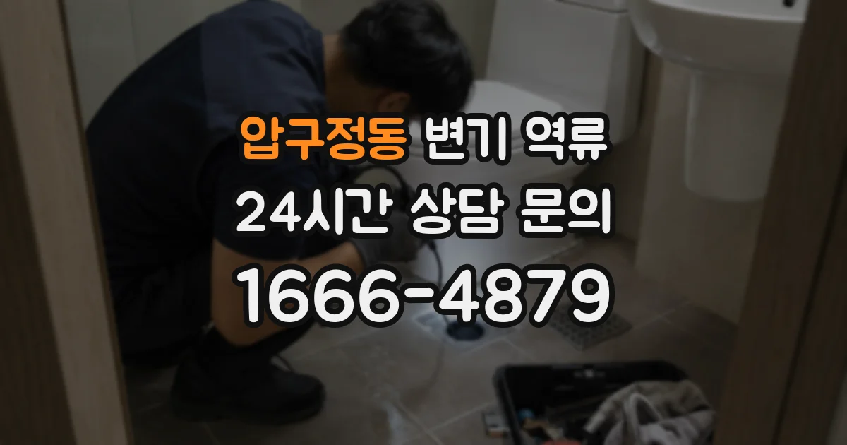 압구정동 변기 역류