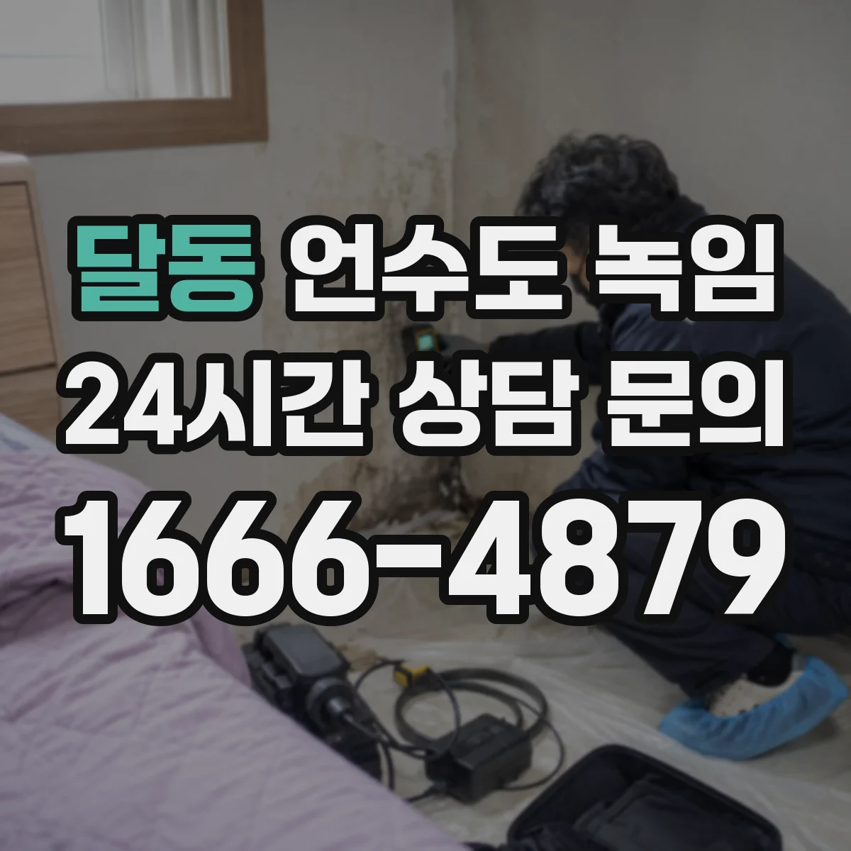 달동 언수도 녹임