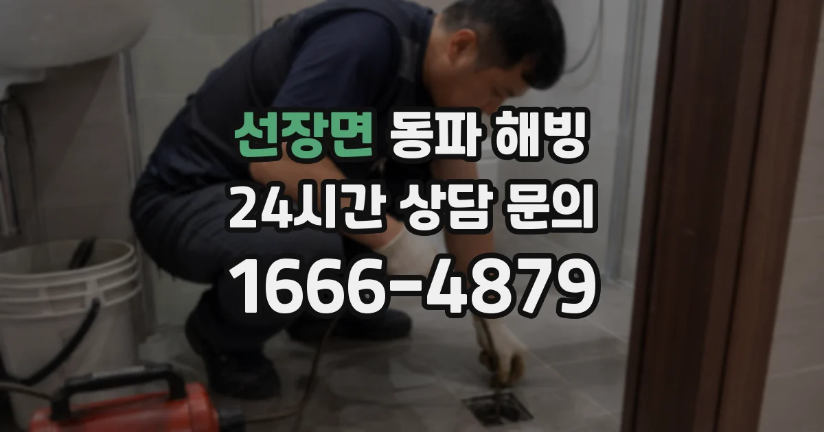선장면 동파 해빙