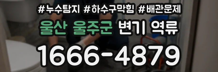 울산 울주군 변기 역류