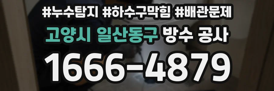 고양시 일산동구 방수 공사