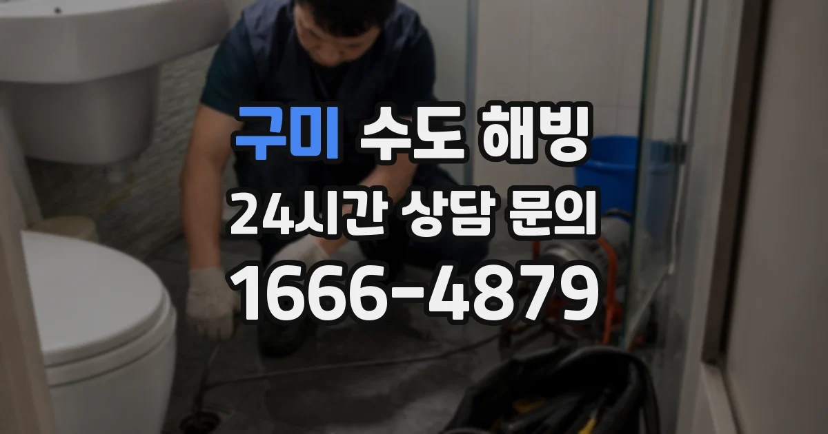 구미 수도 해빙