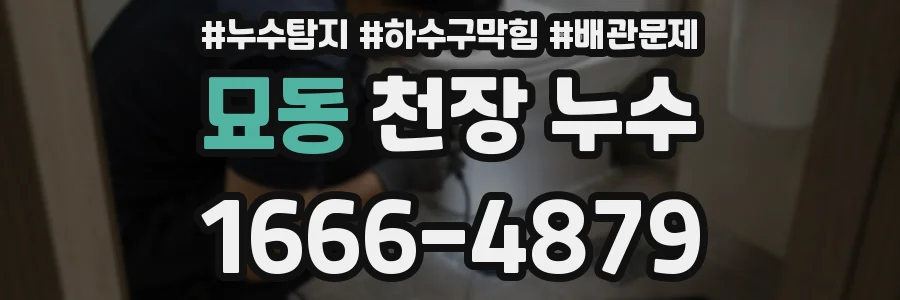 묘동 천장 누수