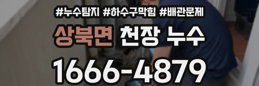 상북면 천장 누수