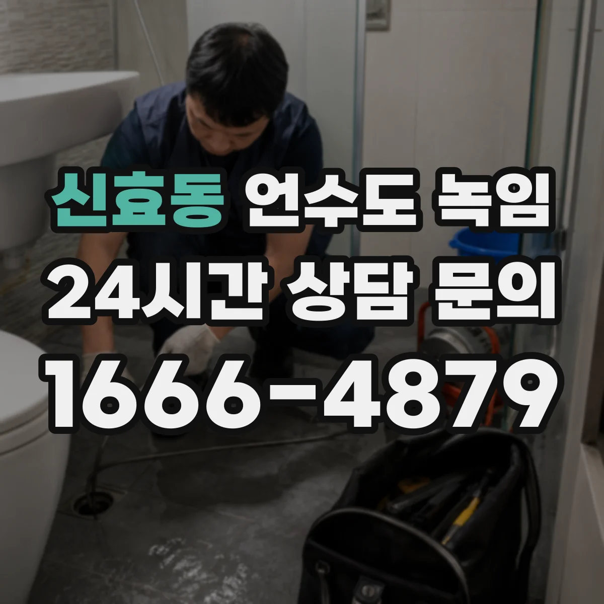 신효동 언수도 녹임