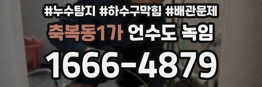 축복동1가 언수도 녹임