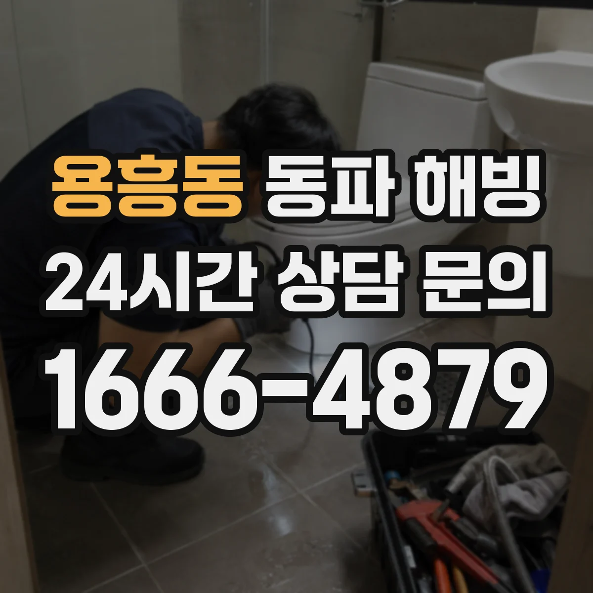 용흥동 동파 해빙