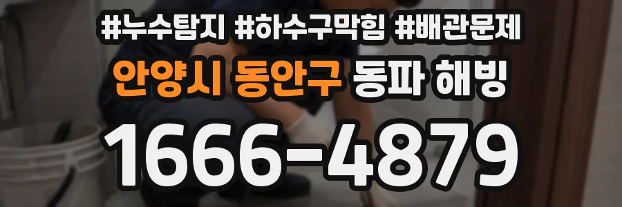 안양시 동안구 동파 해빙