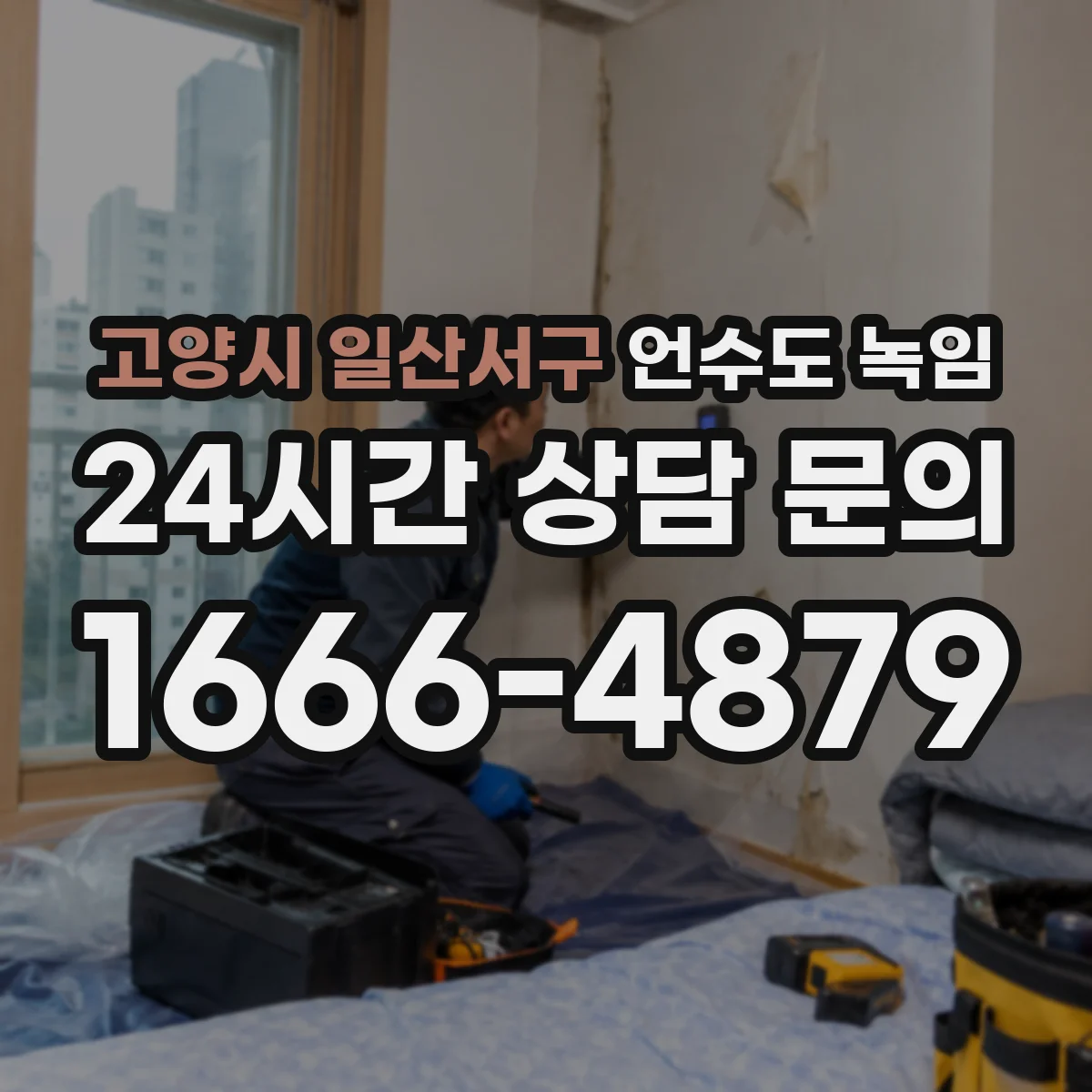 고양시 일산서구 언수도 녹임