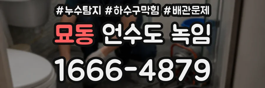 묘동 언수도 녹임