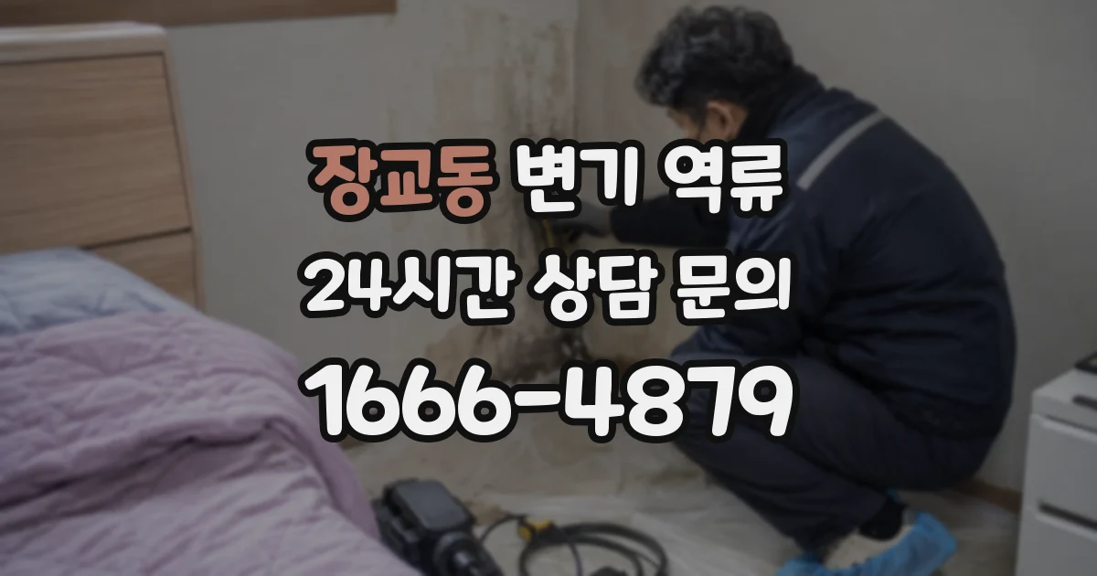 장교동 변기 역류