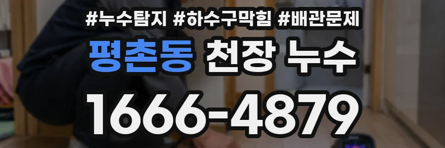 평촌동 천장 누수
