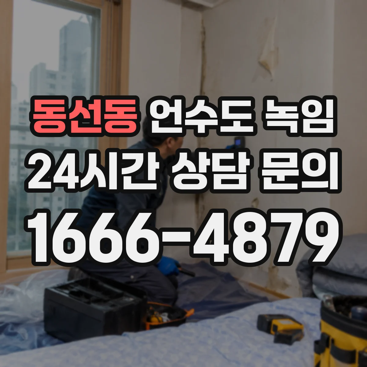 동선동 언수도 녹임