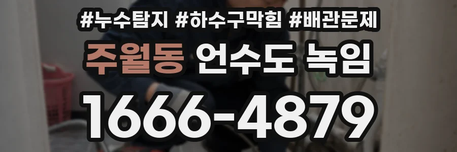 주월동 언수도 녹임
