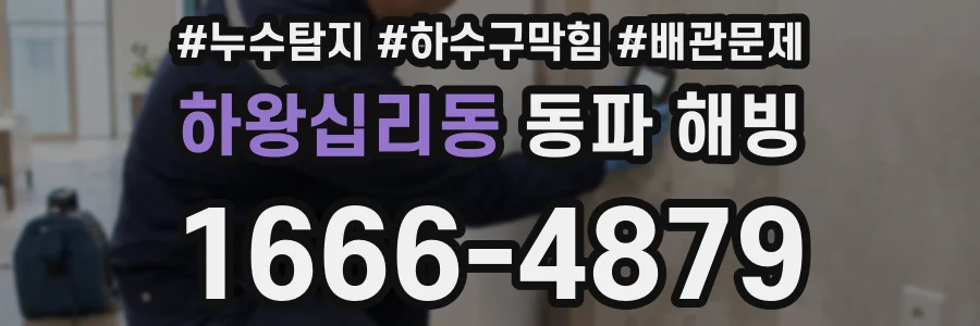 하왕십리동 동파 해빙