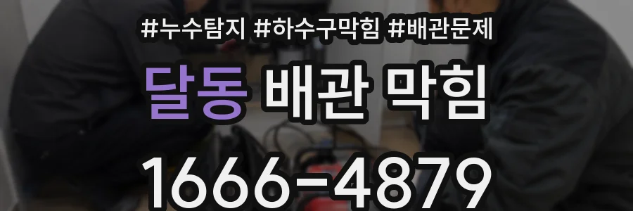 달동 배관 막힘