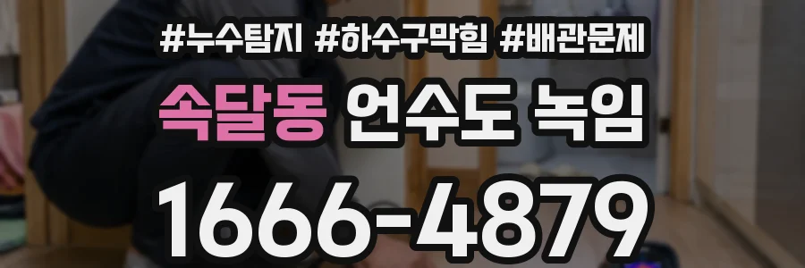 속달동 언수도 녹임