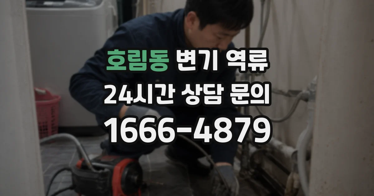 호림동 변기 역류
