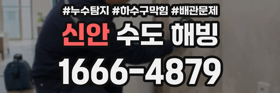 신안 수도 해빙