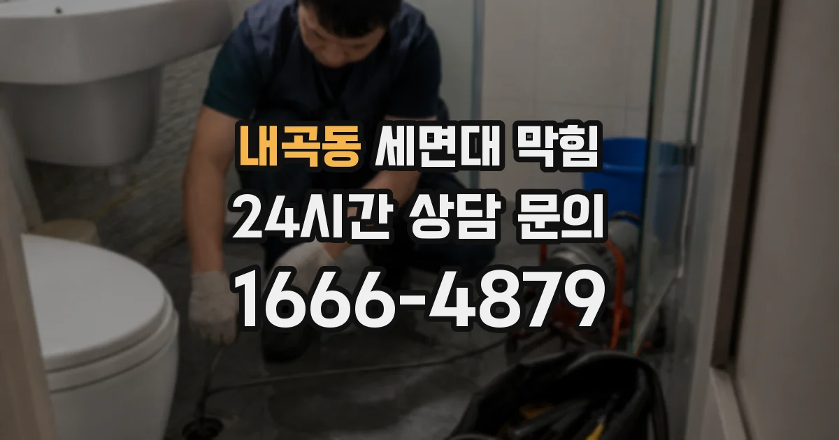 내곡동 세면대 막힘