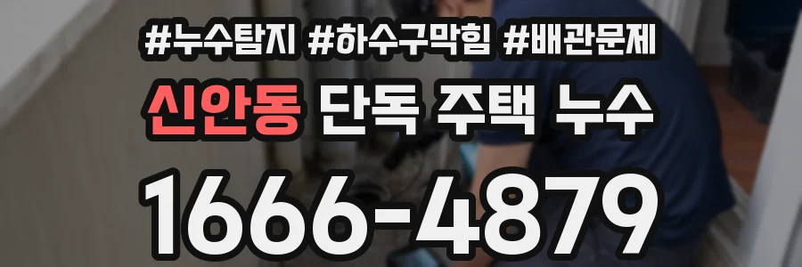 신안동 단독 주택 누수