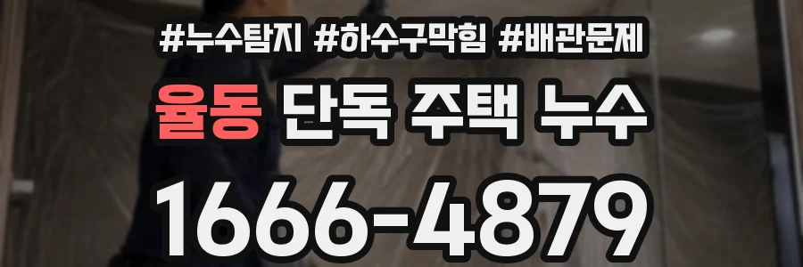 율동 단독 주택 누수