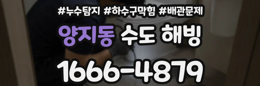 양지동 수도 해빙