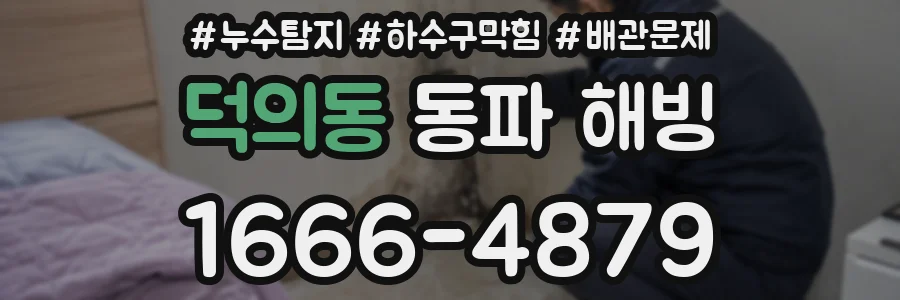 덕의동 동파 해빙