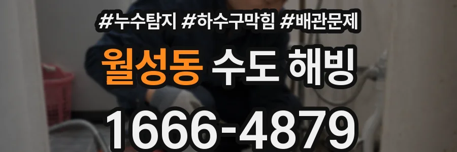 월성동 수도 해빙